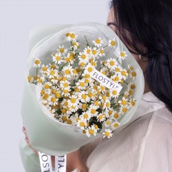 romashka kupit buket 2-245